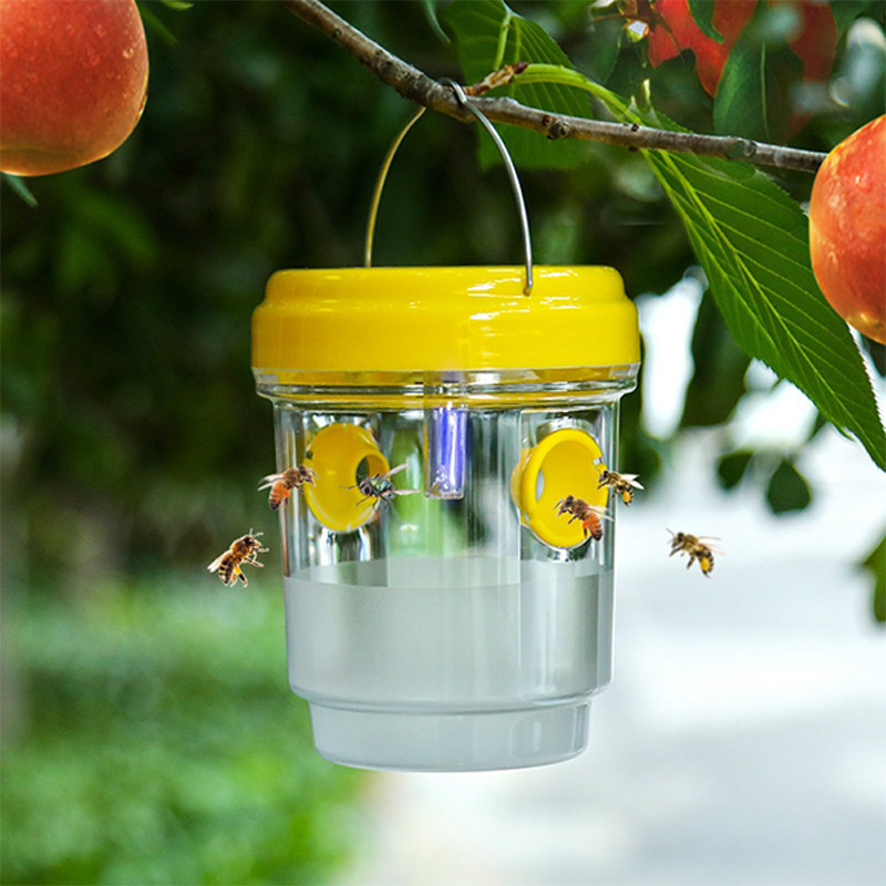 Solar Powered Fruit Fly Traps  - Smart Garden Spotlights 评论和价格