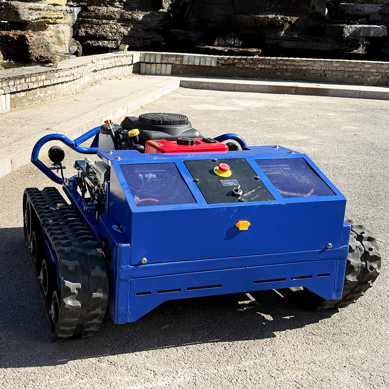 Customized High Quality Remote - Smart Garden Is 评论和价格